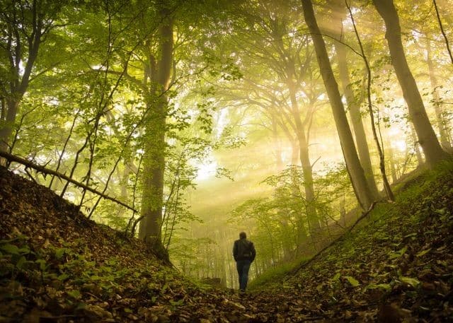 Creating the Connection – Meditation