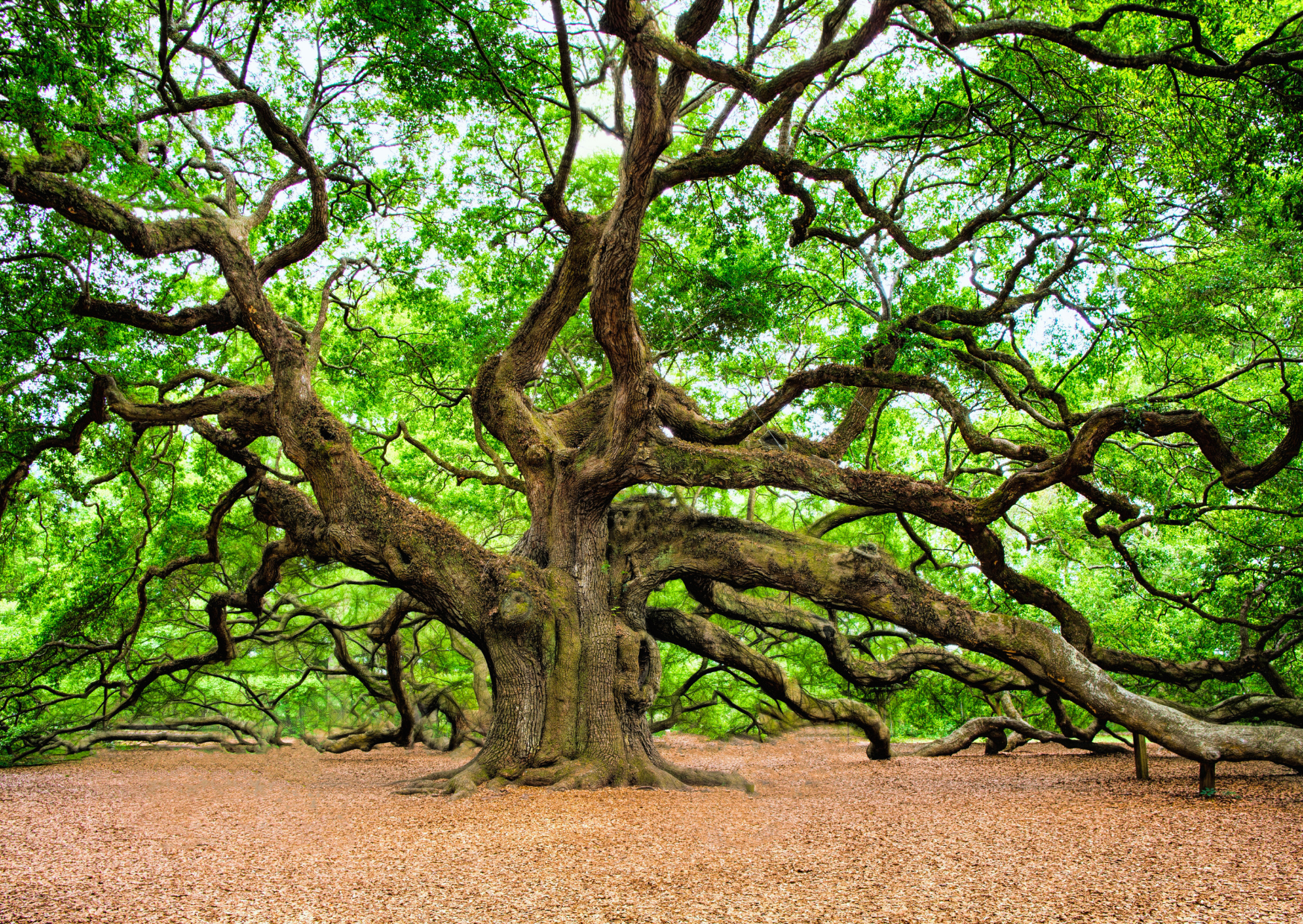 Creating Connection: Meditation & Breathwork *May*