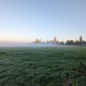 Keeping the Discipline: Autumn Meditations