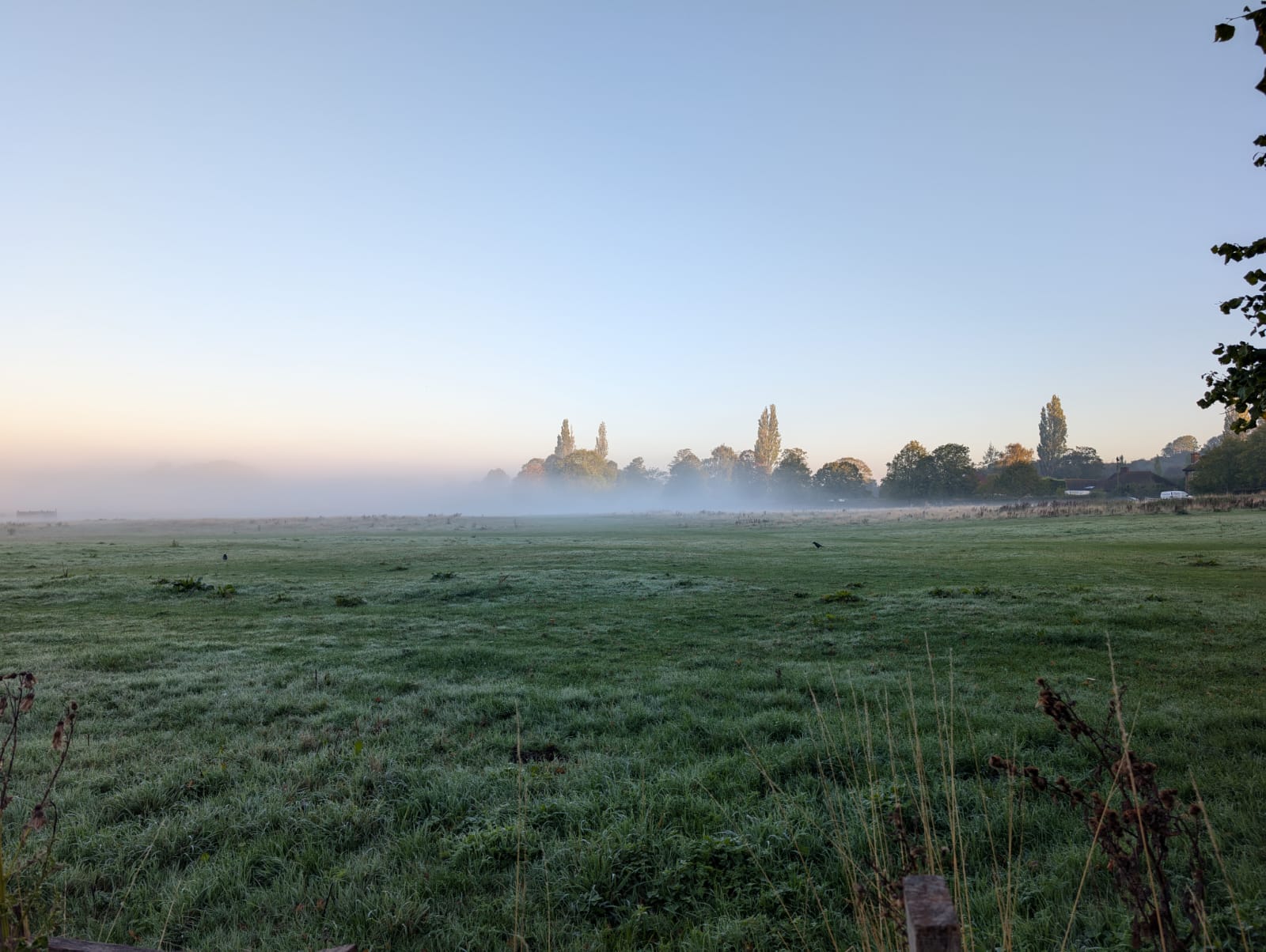 Keeping the Discipline: Autumn Meditations