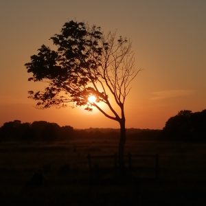 Keeping the Discipline: Summer Meditations