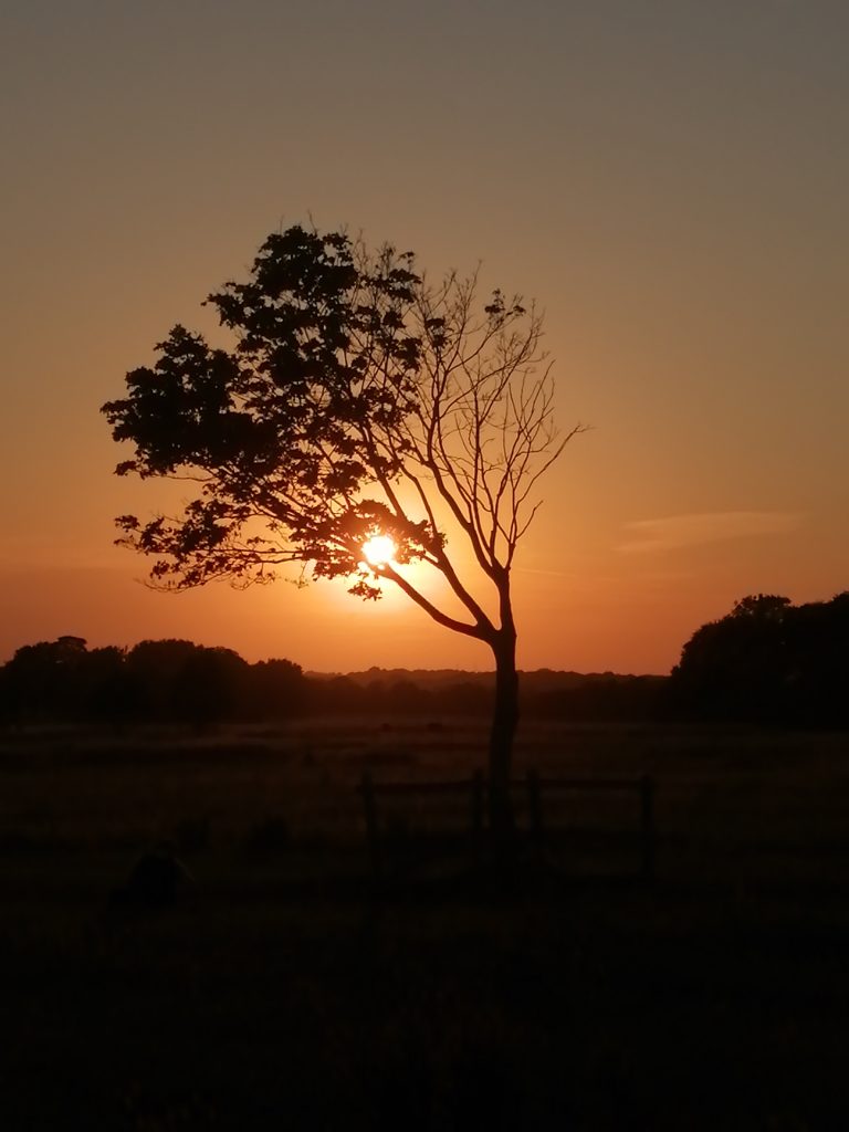 Keeping the Discipline: Summer Meditations