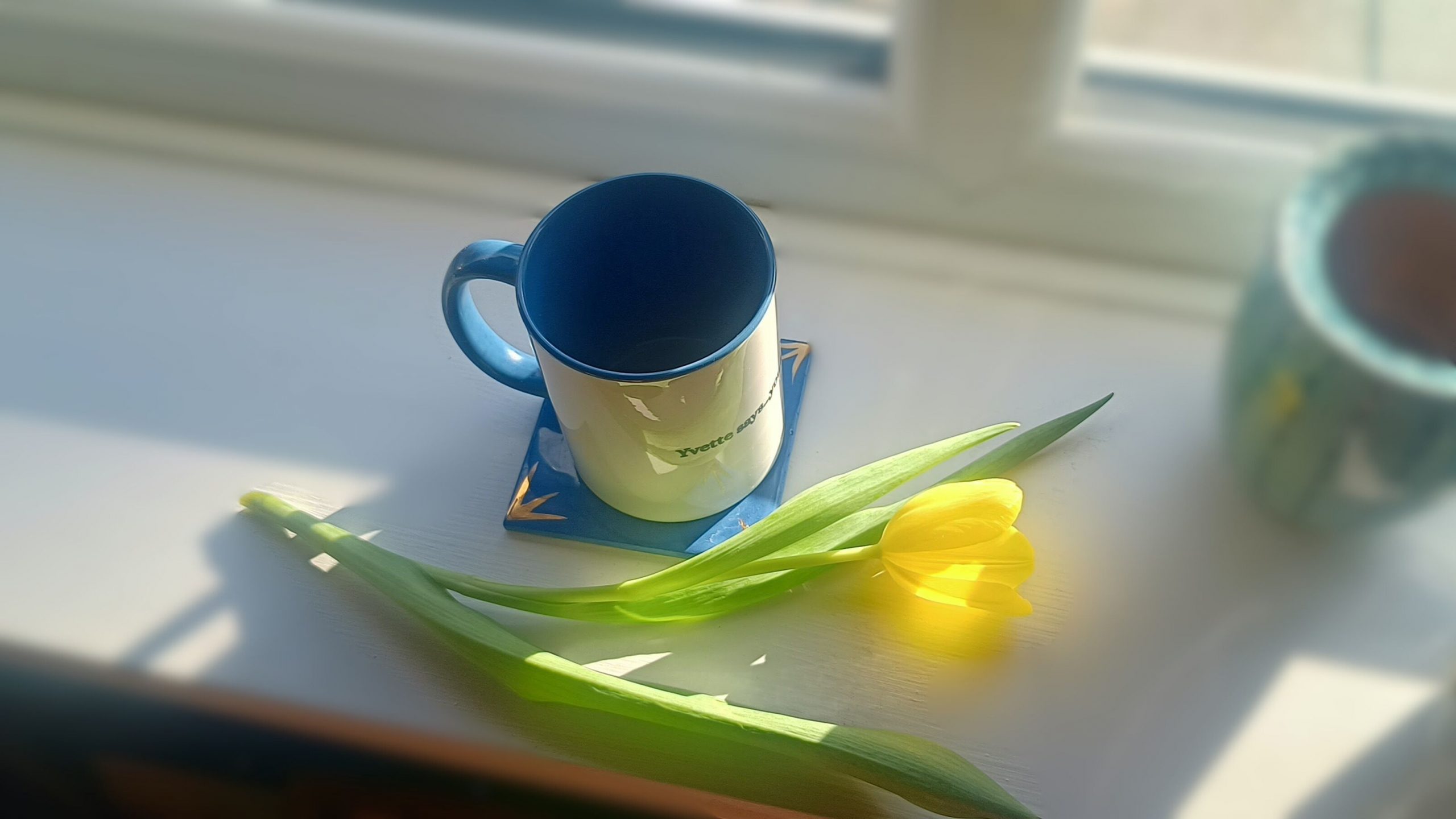 Specialty 'Yvette Says...' Mug