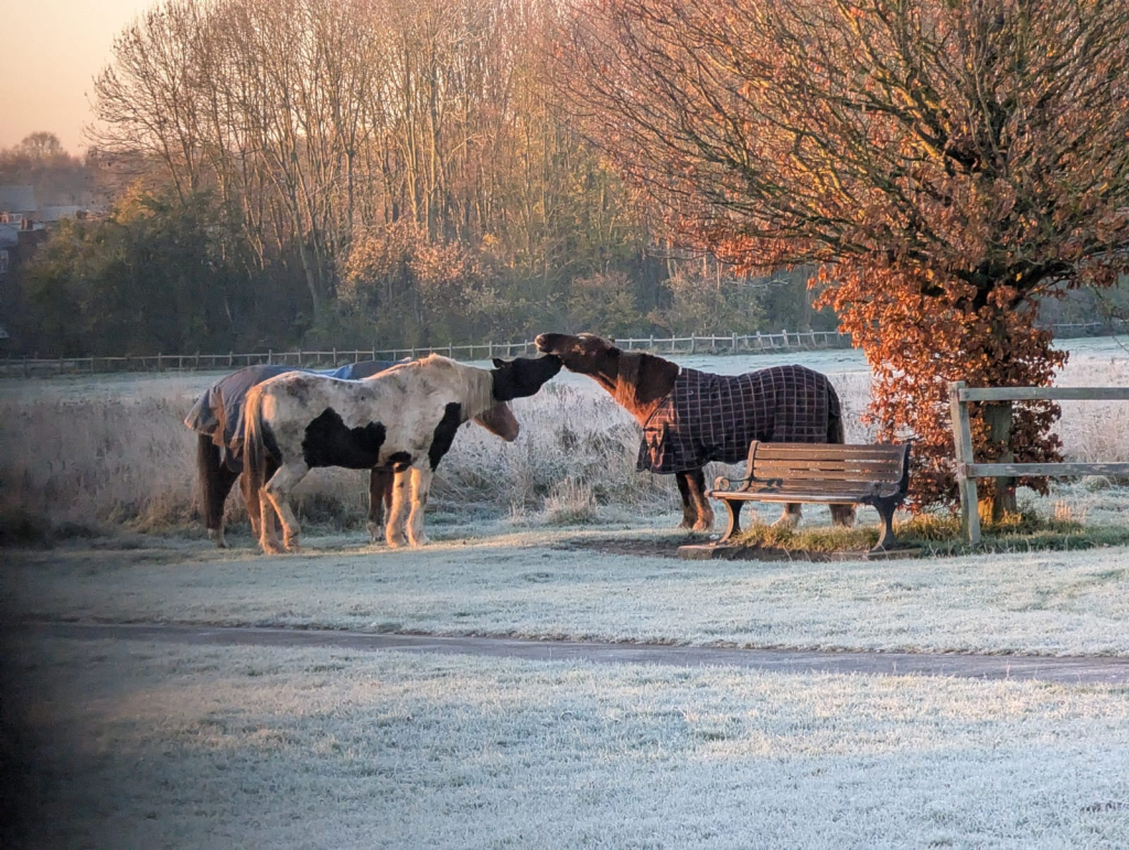 Togetherness: A Wellbeing Morning